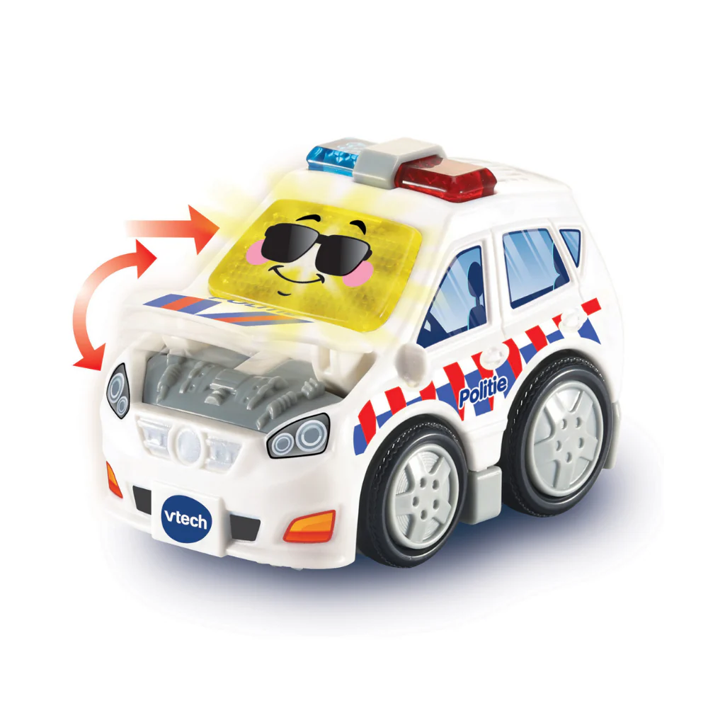 Miniatuur 2