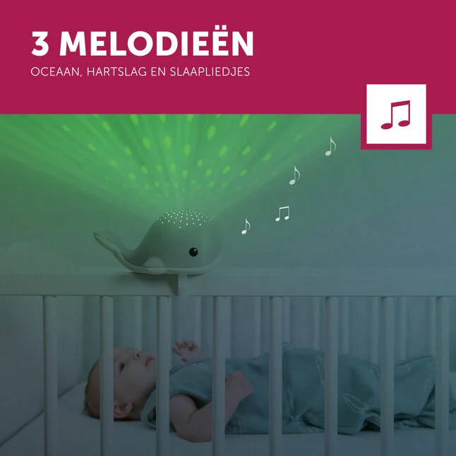 Productafbeelding 8